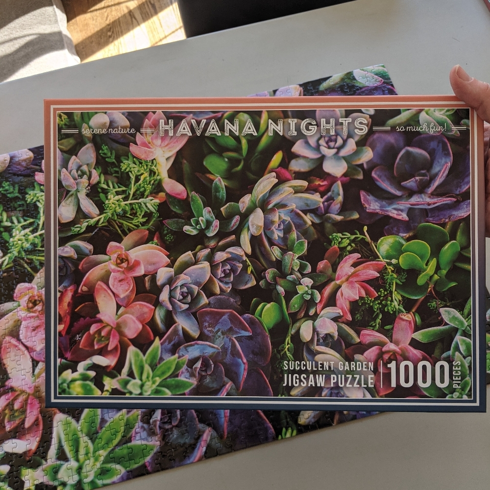 Havana nights succulent garden puzzle